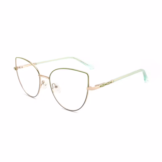 Manufacture Price Fixed Pupil Trial Frame TF